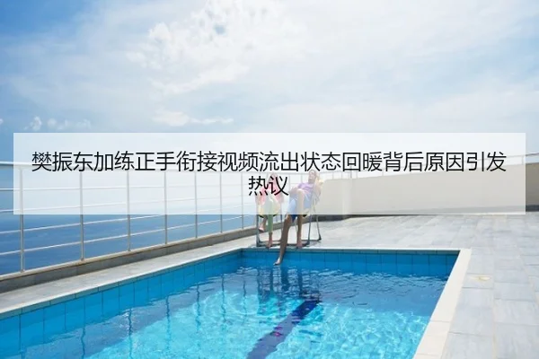 樊振东加练正手衔接视频流出状态回暖背后原因引发热议