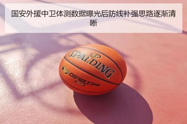 国安外援中卫体测数据曝光后防线补强思路逐渐清晰