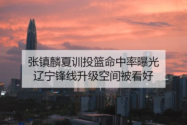 张镇麟夏训投篮命中率曝光 辽宁锋线升级空间被看好